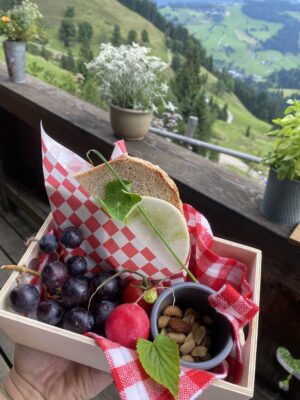 IMG_0446 IMG_0446